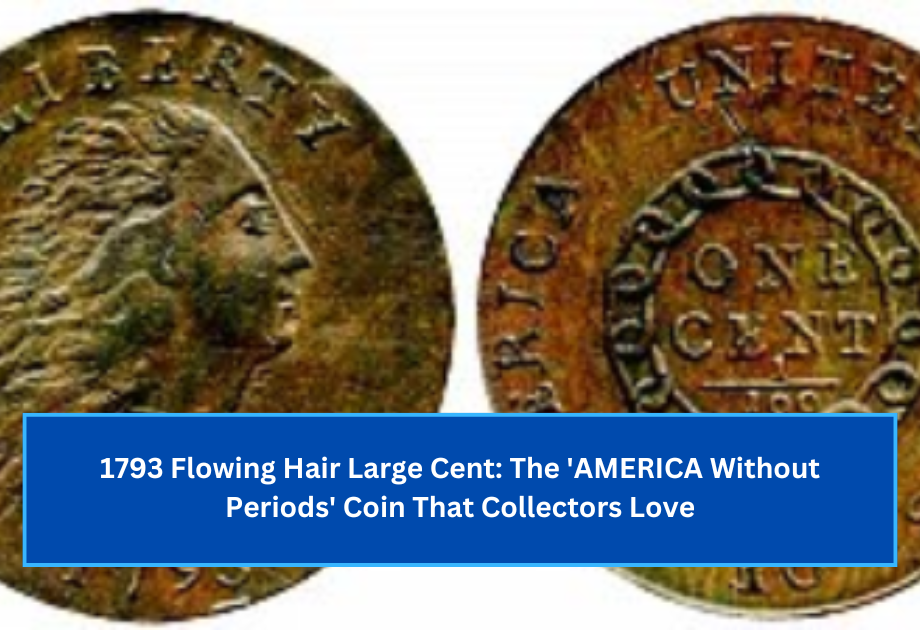 1793 Flowing Hair Large Cent The 'AMERICA Without Periods' Coin That Collectors Love