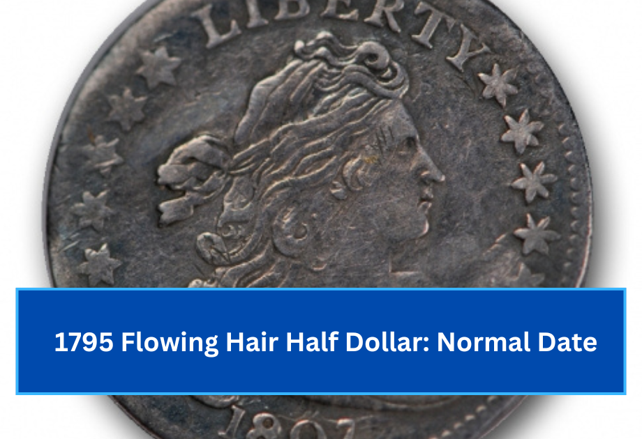 1795 Flowing Hair Half Dollar Normal Date