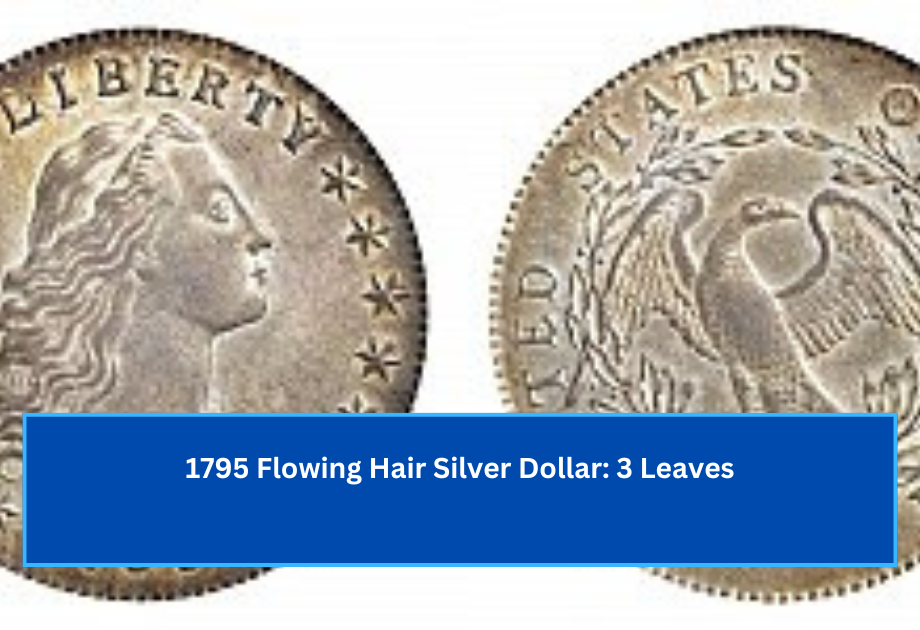 1795 Flowing Hair Silver Dollar 3 Leaves