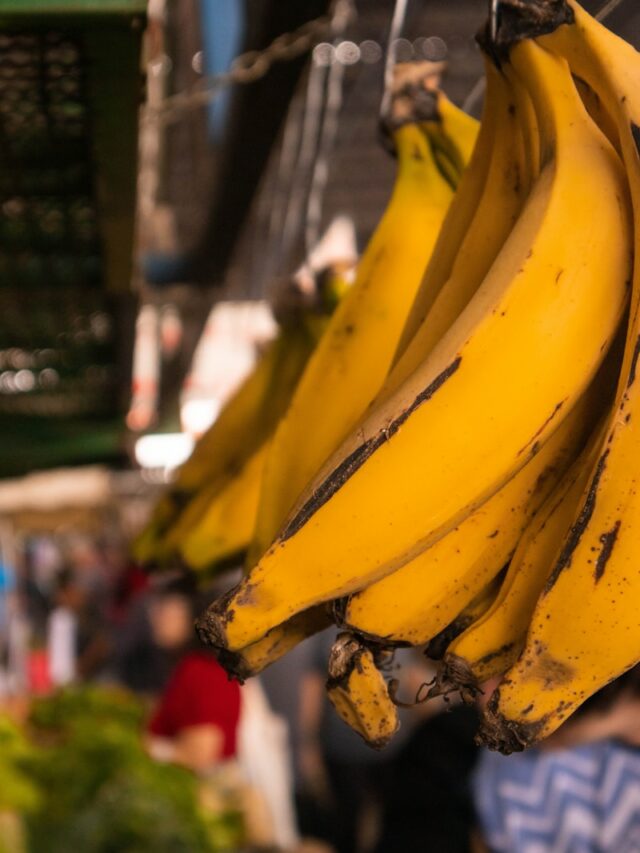 a bunch of bananas from a tree