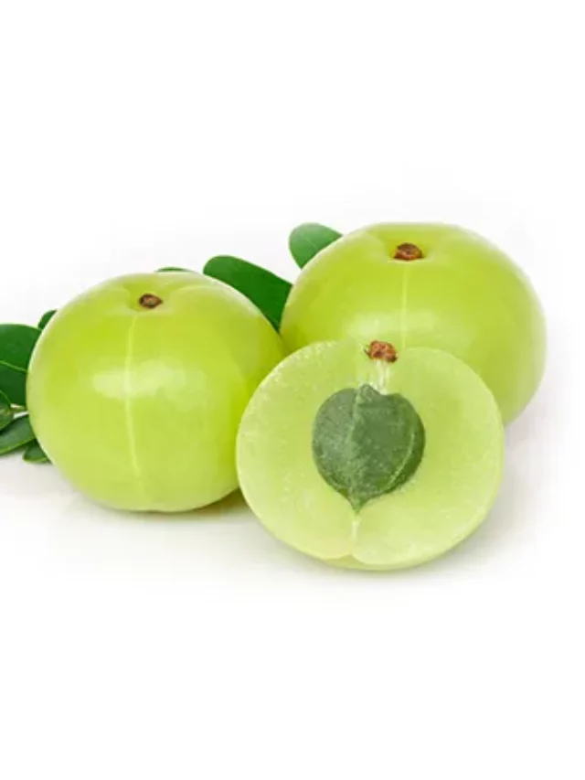 7 benefits of chewing 1 amla daily on an empty stomach (1)