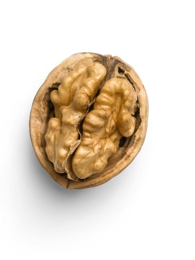 a whole walnut on a white background