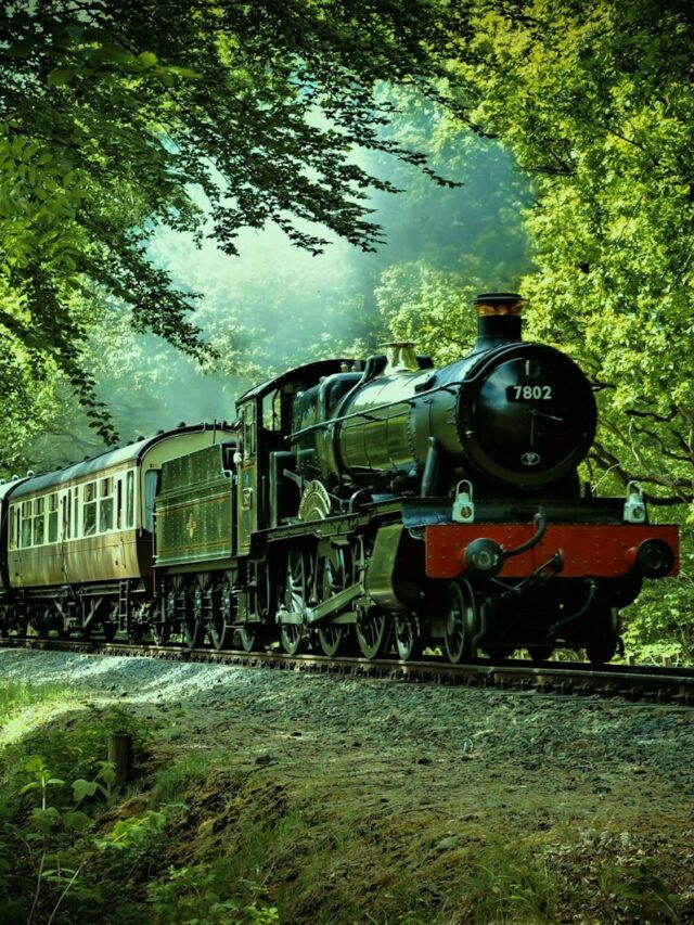 black and red train passing through forest