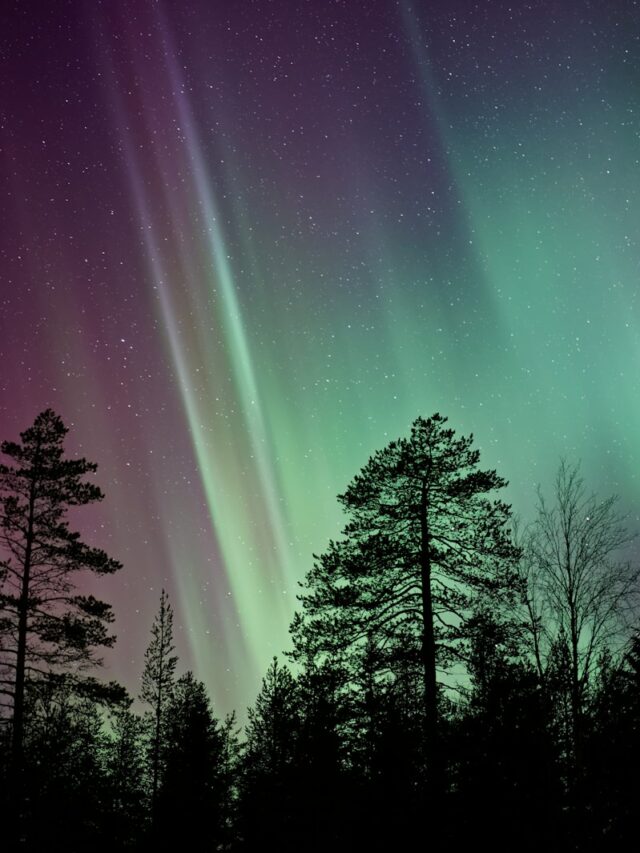 silhouette photo of aurora borealis