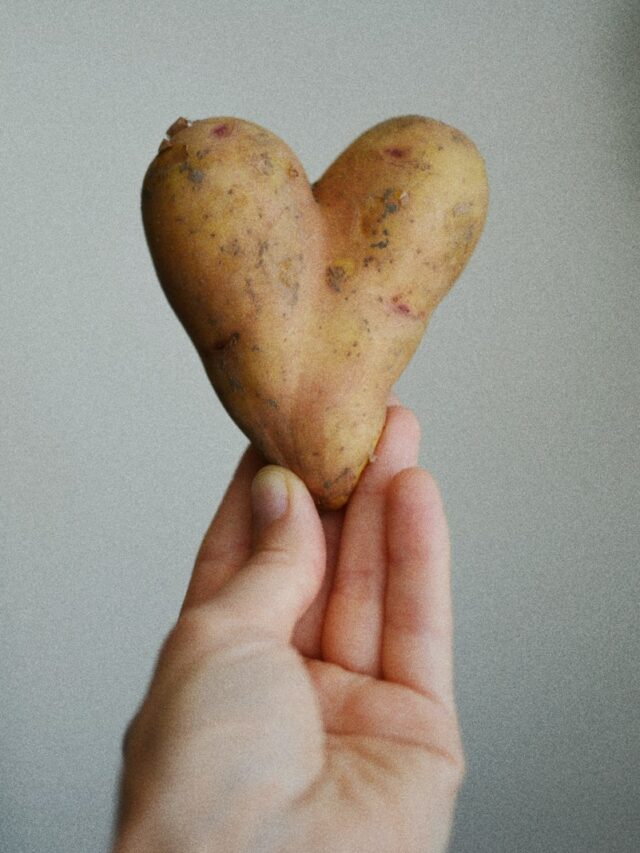 A person holding a heart shaped cookie in their hand